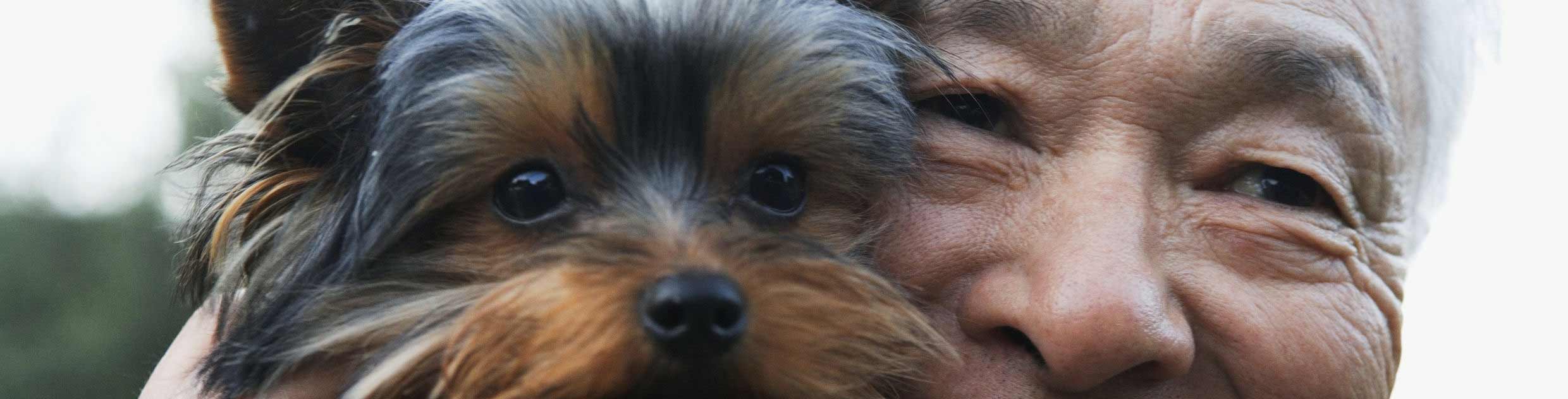 Homme âgée souriant avec son chien