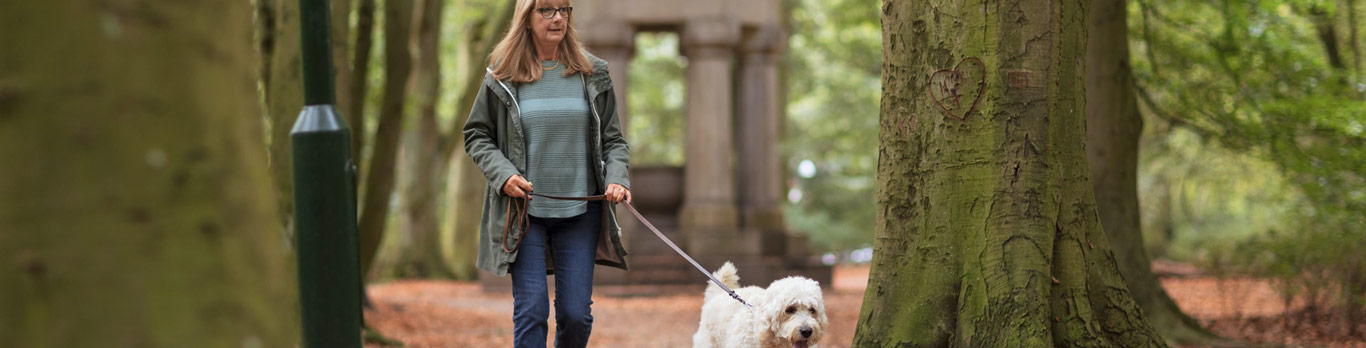 Femme promenant son chien en laisse dans une forêt