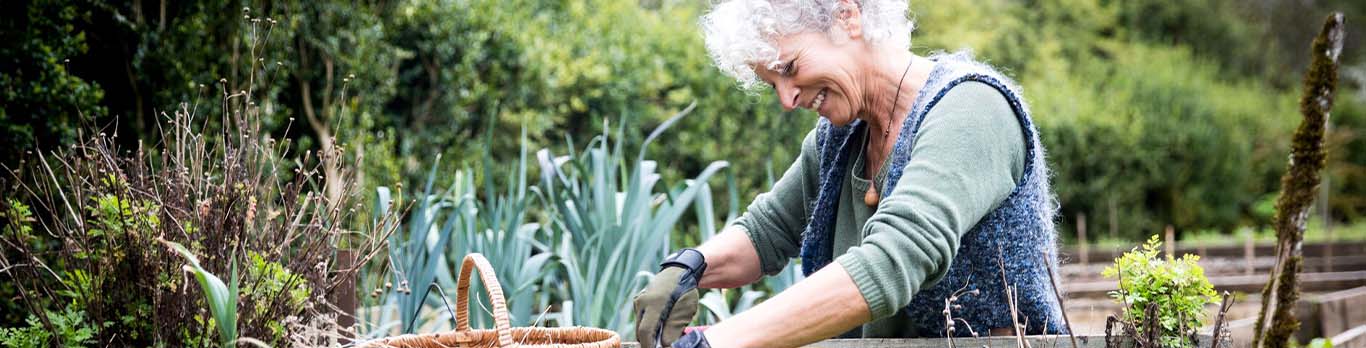 Femme à la retraite s'occupant de son potager 1366 348