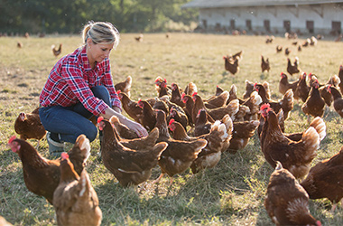 Quelle mutuelle santé pour les salariés agricoles ?