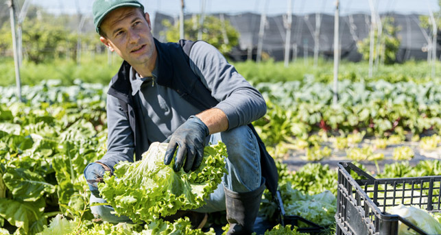 L’offre référencée par le Ministère de l'Agriculture en détail