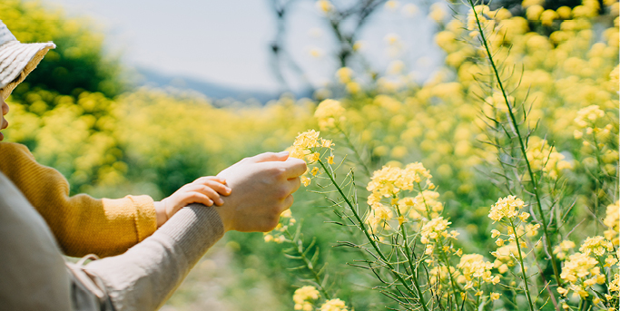 AG2RLM recrutement AG2RLM et moi 4