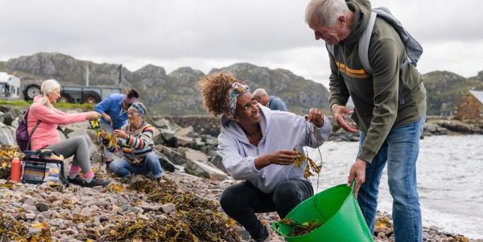 ALM CES ccn organismes tourisme