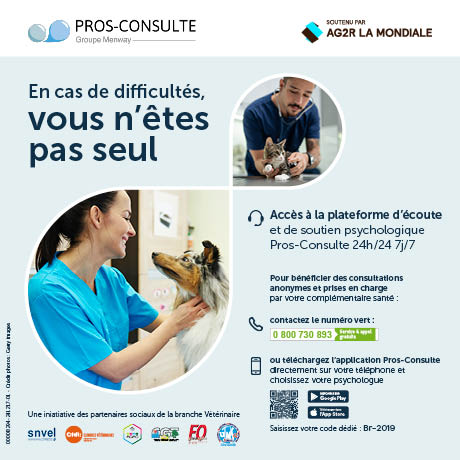 Les actions de prévention menées dans les cabinets et les structures Vétérinaires