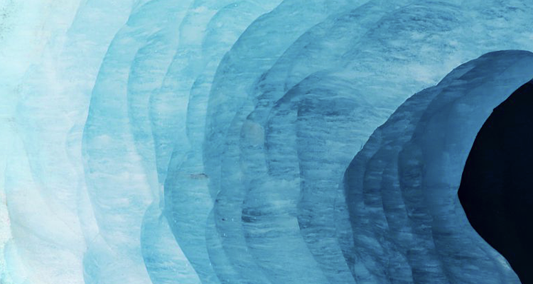 Culture branches glaciersv2 750x400