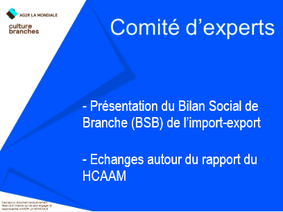 culture branches comite d  1