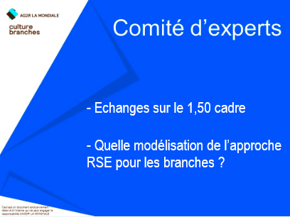 culture branches comite d experts 28 juin 408x306