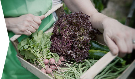 Champ d'application - CCN <br>fruits-legumes- <br>entreprises-expedition- <br>exportation