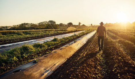 Champ d'application - <br>CCN exploitations <br>agricoles de Saône et Loire