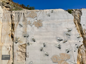 La Fondation pour la vitalité artistique soutient le street-art à La Karrière