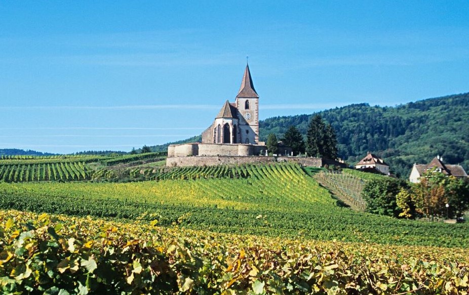 1280 Web Village dans la campagne 1