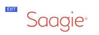 Logo de Saagie